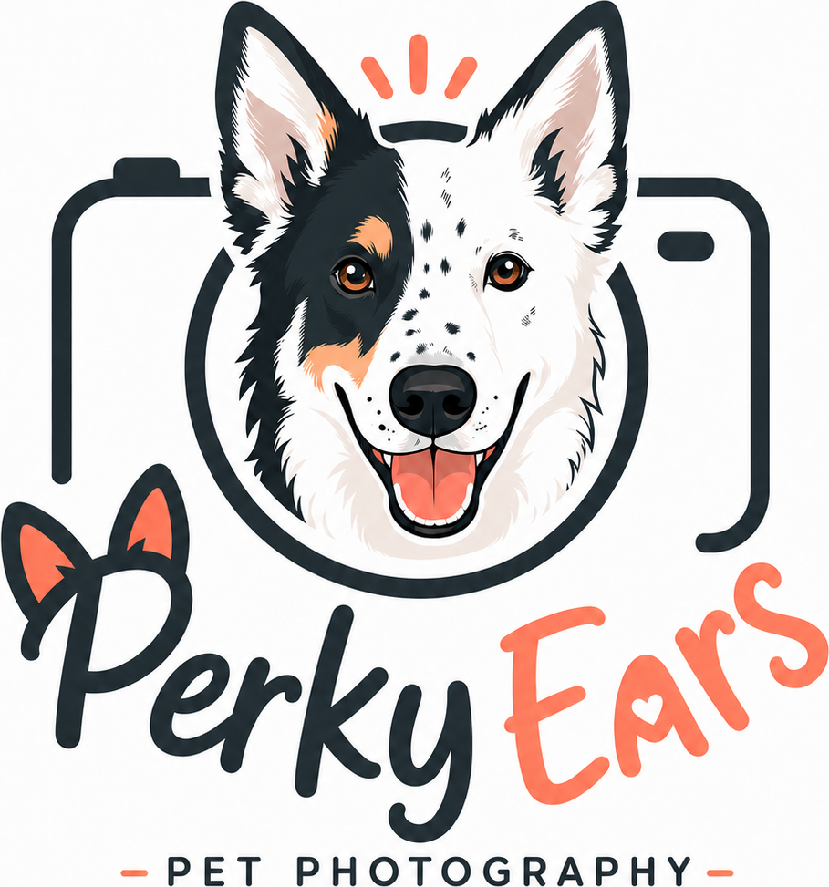 Perky Ears Pet Photography logo